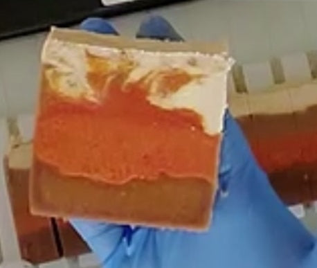 Pre-Order Pumpkin Spice Soap by Lily